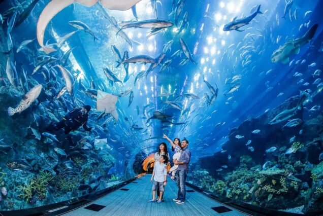 Dubai Mall Aquarium And Underwater Zoo Ticket