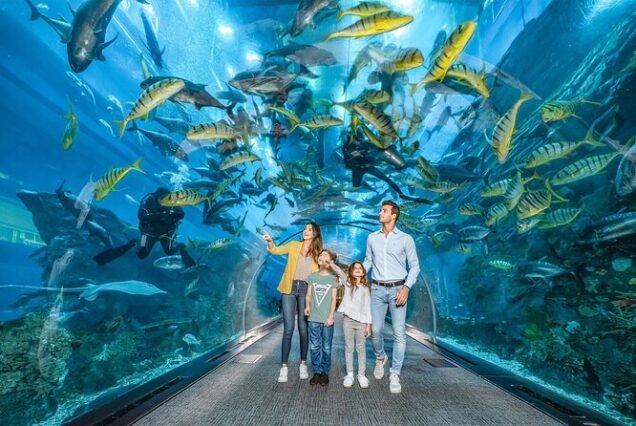 Dubai Aquarium & Underwater Zoo All Access