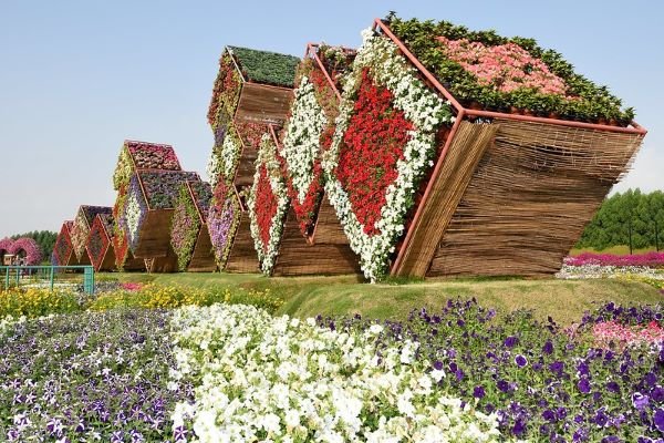 Miracle Garden Dubai Tickets