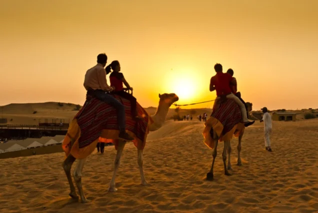 Evening Desert Safari with Camel Ride